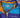 Nike international Windbreaker