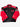 Essex Racer Jacket